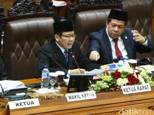 DPR Sudah Terima Perppu Kebiri dari Pemerintah