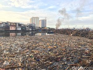 Begini Kondisi Sampah di Kampung Akuarium Pasar Ikan Begini Kondisi Sampah di Kampung Akuarium Pasar Ikan