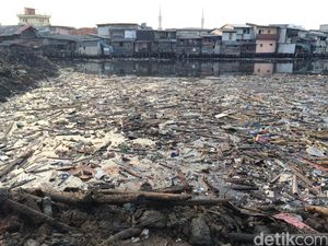Masalah Sampah Tak Kunjung Usai, Angola Terancam Wabah Kolera dan Pes Masalah Sampah Tak Kunjung Usai, Angola Terancam Wabah Kolera dan Pes