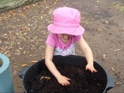 Pencuri Gasak Ternak Cacing Milik Anak PAUD di Queensland