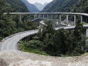 Detik-detik Evakuasi Pria Terjatuh dari Jurang Kelok Sembilan Sumbar