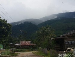 Begini Suasana Tegang di Taman Jeka, Zona Merah Bekas Basis Santoso