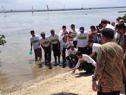 Setelah Gambut, Jokowi Akan Lakukan Moratorium Sawit