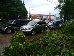 Hujan Badai, Belasan Pohon Tumbang di Bandung