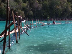 KKP Gandeng Asosiasi Kembangkan Budidaya Rumput Laut di RI