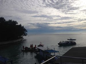 Resmikan Tempat Suaka, Jokowi Lepas Penyu dan Elang di Kepulauan Seribu