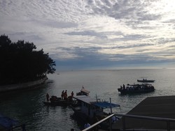 Resmikan Tempat Suaka, Jokowi Lepas Penyu dan Elang di Kepulauan Seribu