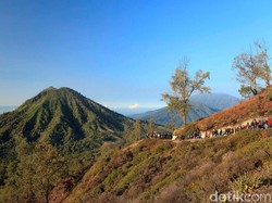 Hasil Survei LSI: Ini Alasan Warga Bangga akan Citra Diri Banyuwangi