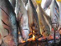 Minta Masyarakat Rajin Makan Ikan, Rizal Ramli: Tapi Jangan Ikan Asin