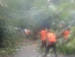 Tebing Setinggi 30 Meter Longsor Putus Akses Dua Desa