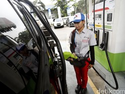 Kementan Siapkan Bibit Tanaman untuk Bahan Bakar Nabati