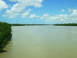 Sungai Maro & Jembatan 7 Wali-wali, Duet Cantik dari Merauke