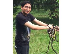Lucky Hakim Rutin Lepas Ular Peliharaannya ke Alam Tiap Tahun