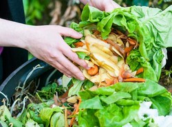 10 Cara Sederhana Ini Bisa Anda Lakukan untuk Kurangi Limbah Makanan (1)