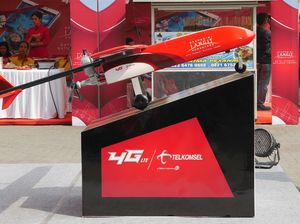 Melihat Lebih Dekat Si Elang Barat