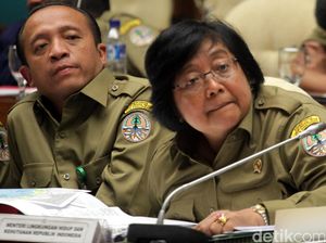 Menteri LHK: Pengembang Reklamasi Mengaku Ambil Pasir dari Pulau Tunda