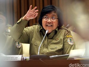 Menteri LHK: Reklamasi Pantura Jakarta Juga Harus Lihat Banten dan Jabar