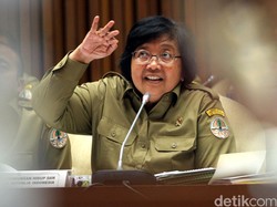 Menteri Siti Apresiasi Kinerja Aparat Padamkan Titik Api di Rokan Hilir Riau