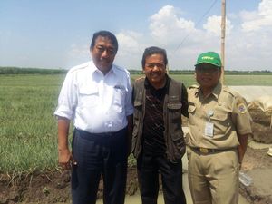 Kementan: Petani Bawang Merah di Brebes Oplos Pestisida Lampaui Dosis