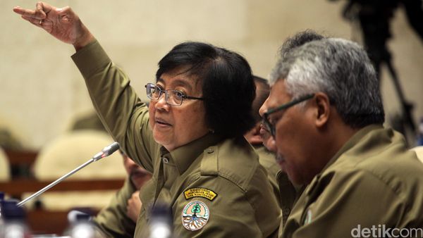 Menteri LHK-Komisi IV Bahas Reklamasi Teluk Jakarta