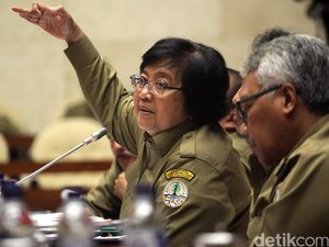 Menteri LHK-Komisi IV Bahas Reklamasi Teluk Jakarta