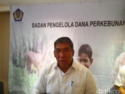 Dana Celengan Sawit Dipakai Riset Pemadam Kebakaran Hingga Bioetanol