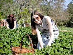 Semakin Banyak Anak Muda Australia yang Tertarik dengan Pertanian
