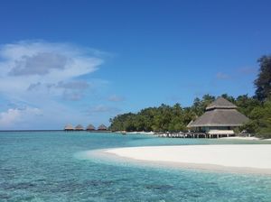 Bukan Arab, Ini Negara yang Warganya 100 Persen Beragama Islam Bukan Arab, Ini Negara yang Warganya 100 Persen Beragama Islam