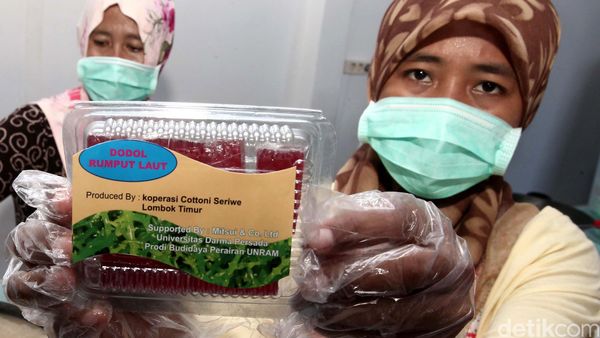 Dodol dan Kerupuk Ini Terbuat dari Rumput Laut