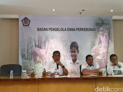 Konsumsi Biodiesel Domestik Ditarget 2,7 Juta Kiloliter Tahun Ini