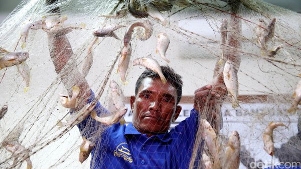 Nelayan Jakarta Pamer Hasil Tangkapan