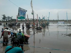 Unik, Petani di Probolinggo Gelar Balapan Sapi Jepang