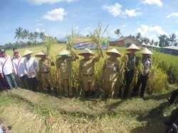 Mentan: Swasembada Beras Makin Cepat Kalau Rajin Makan Buah