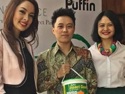 Inovasi Asli Indonesia, Pelopor Cat Tembok Anti Serangga dari Puffin InsectGuard
