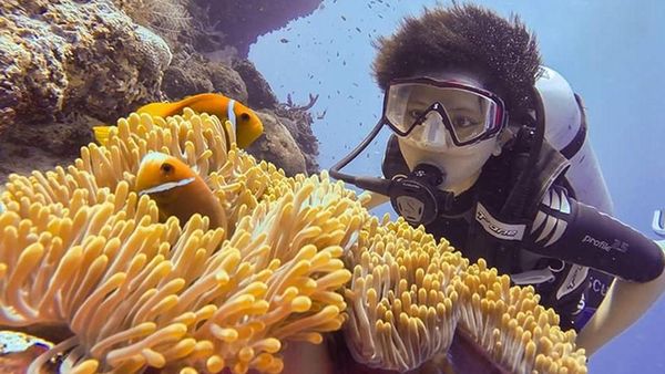 Alam Bawah Laut Maladewa, Terbukti Indahnya!