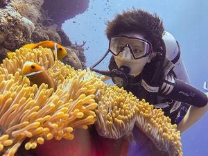 Alam Bawah Laut Maladewa, Terbukti Indahnya!