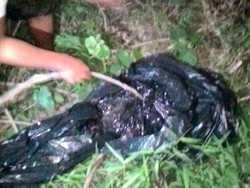 Potongan Tangan Nur Atikah Dibuang di Tumpukan Sampah, Ini Penampakannya