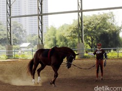 Pulomas Akan Tertutup untuk Semua Kegiatan, Termasuk untuk Binatang