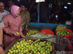 38 Penantang Ahok Daftar Penjaringan Cagub PDIP, Risma Bisa Jadi Kejutan