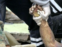 Beragam Badan Kemanusiaan Gelontorkan Bantuan ke Ekuador