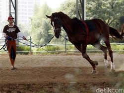 Kuda Sudah Diangkut, Pembangunan Arena Berkuda di Pulo Mas Lancar