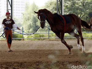 Cabor Berkuda Bermasalah, Sembilan Pengprov Ajukan Protes ke PB PON Cabor Berkuda Bermasalah, Sembilan Pengprov Ajukan Protes ke PB PON