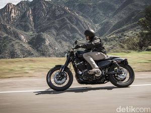 Mulai Rp 100 Jutaan, Ini Pilihan Harley yang Cocok Buat Pemula
