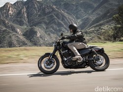 Mulai Rp 100 Jutaan, Ini Pilihan Harley yang Cocok Buat Pemula