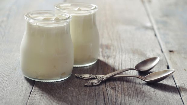 ilustrasi yogurt