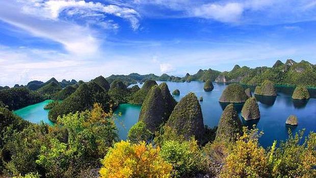 Keindahan-keindahan Raja Ampat yang Bikin Mata Tak Berkedip