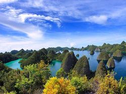 Wah! Di Raja Ampat Ada Ikan Purba