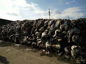 Gunungan Sampah di Pasar Ciroyom, Ridwan Kamil Targetkan 8 Minggu Bersih Gunungan Sampah di Pasar Ciroyom, Ridwan Kamil Targetkan 8 Minggu Bersih