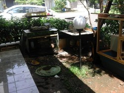 Pemilik Sanca yang Masuk ke Plafon Tetangga Pelihara 22 Ular Jinak