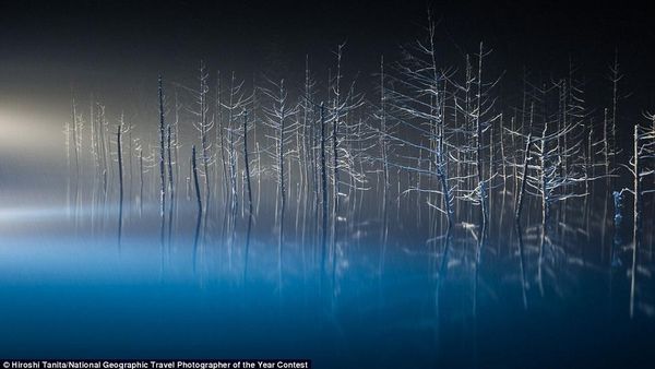 Jepretan Memukau Kontestan NatGeo Traveller